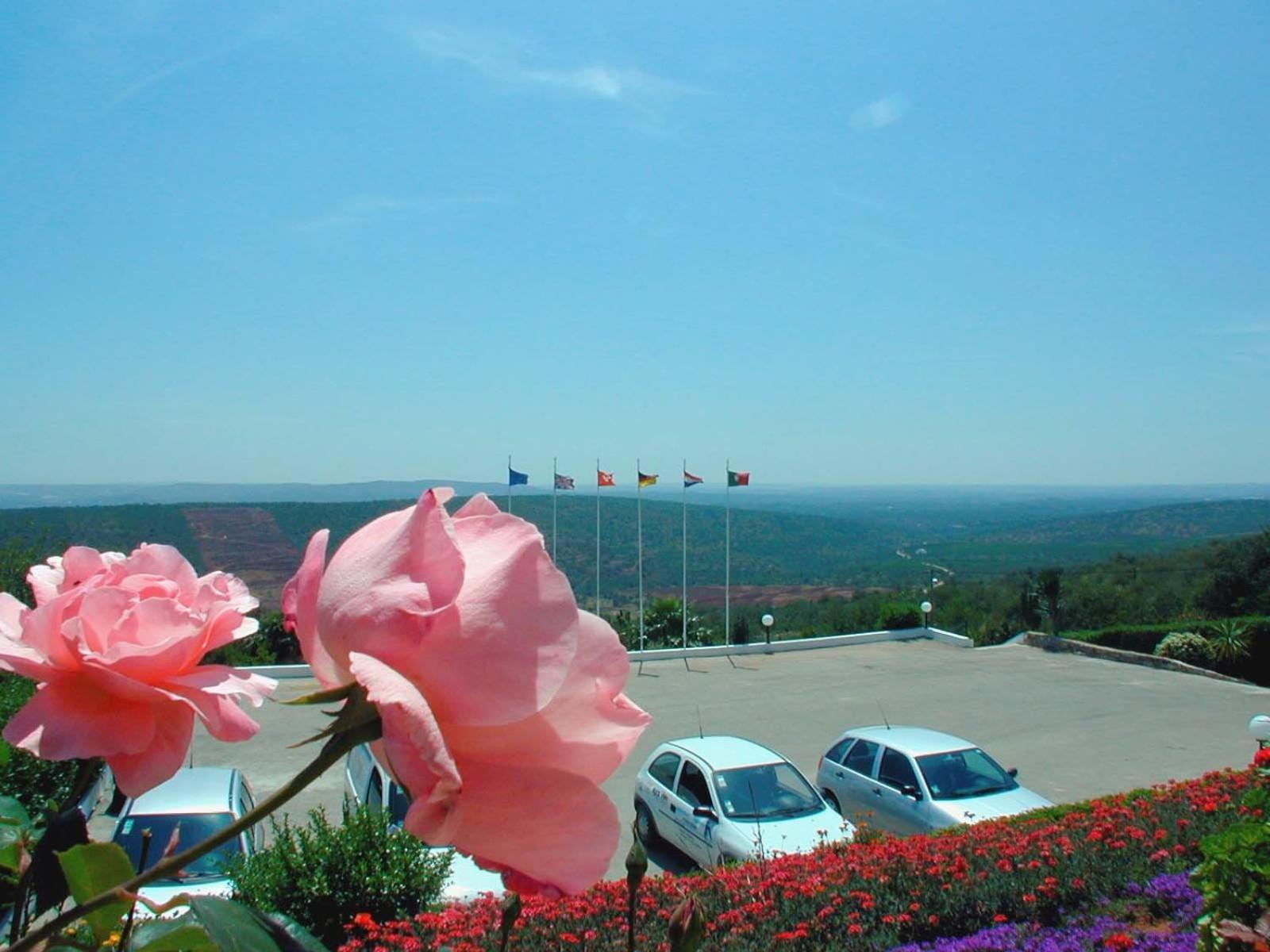 Alte Hotel Luaran gambar